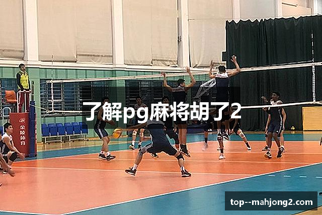 了解pg麻将胡了2